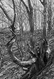 Against the Elements 11